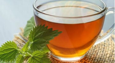 Does Kombucha Black Tea Drink Contain Alcohol?