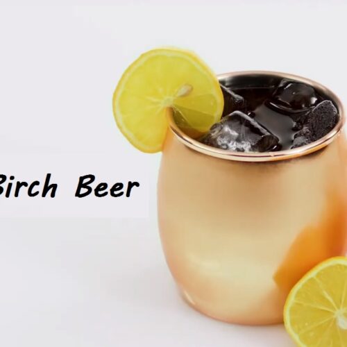 Birch Beer Recipe Served with lemon and ice cubes in glass