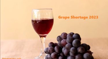 Why Is There A Grape Shortage In 2023?